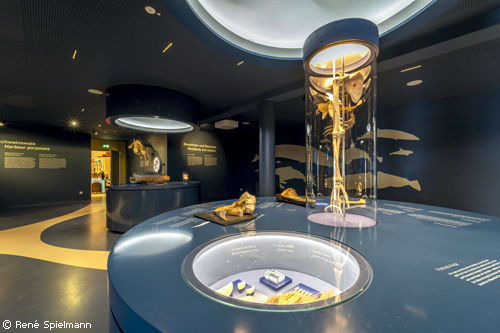 Ausstellung im Wattenmeer Besucherzentrum Wilhelmshaven