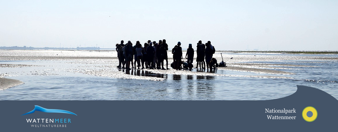 Exkursion am Strand