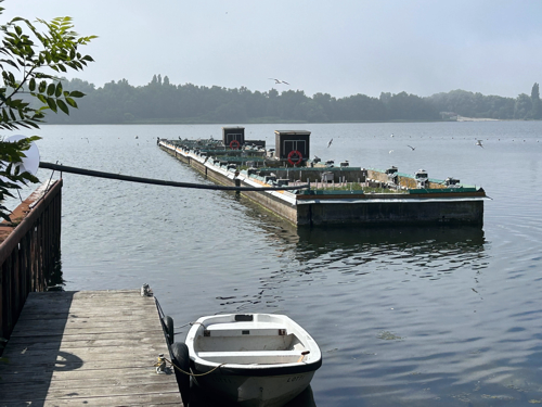 Flussseeschwalben Infozentrum